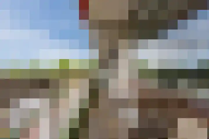 de Koppele 257 Eindhoven thumbnail 34