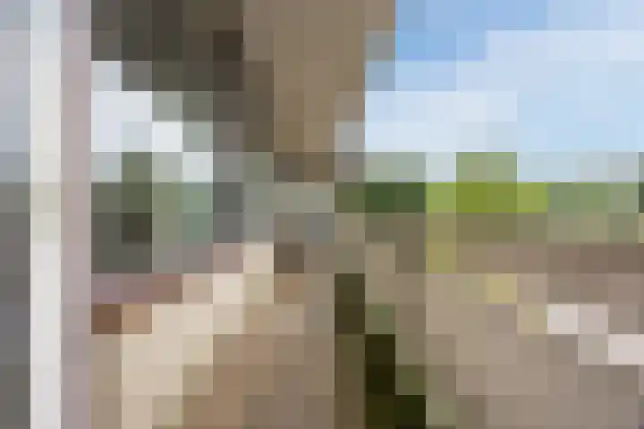 de Koppele 257 Eindhoven thumbnail 35