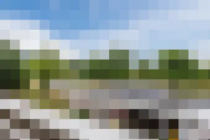 de Koppele 257 Eindhoven thumbnail 36