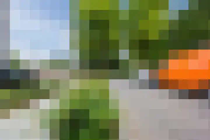 de Koppele 257 Eindhoven thumbnail 38