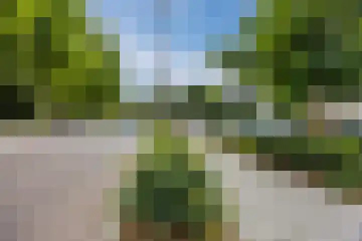 de Koppele 257 Eindhoven thumbnail 39