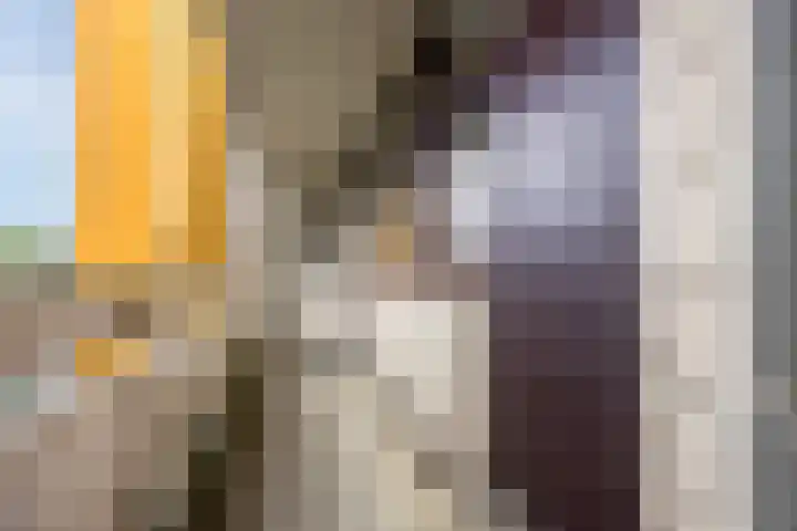 de Koppele 257 Eindhoven thumbnail 9