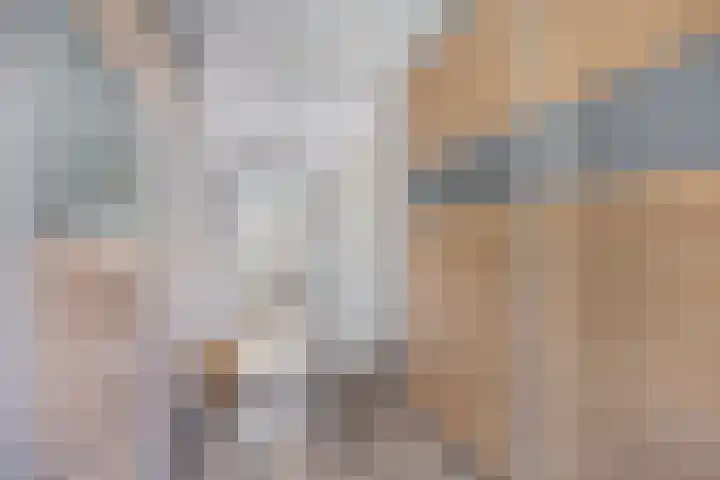 de Koppele 32 Eindhoven thumbnail 29