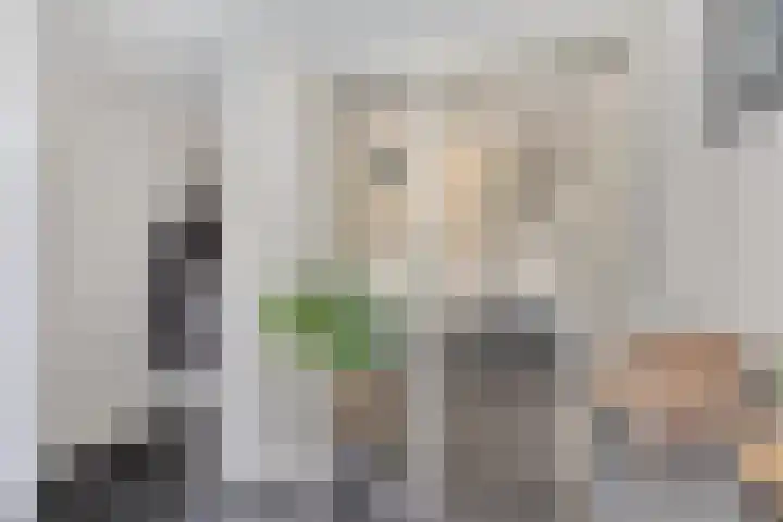 de Koppele 32 Eindhoven thumbnail 6