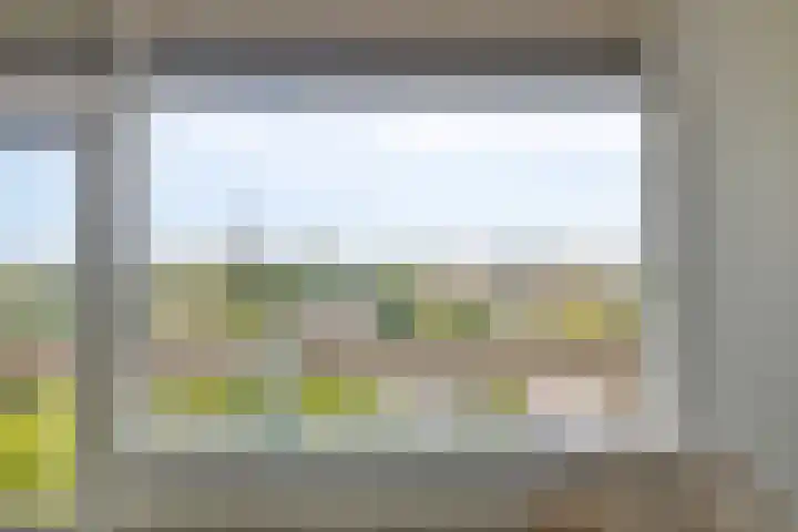 de Koppele 365 Eindhoven thumbnail 15