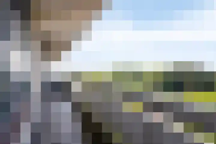 de Koppele 365 Eindhoven thumbnail 25