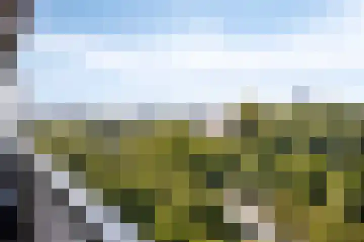 de Koppele 365 Eindhoven thumbnail 31