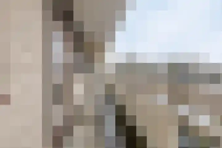 de Koppele 445 Eindhoven thumbnail 12