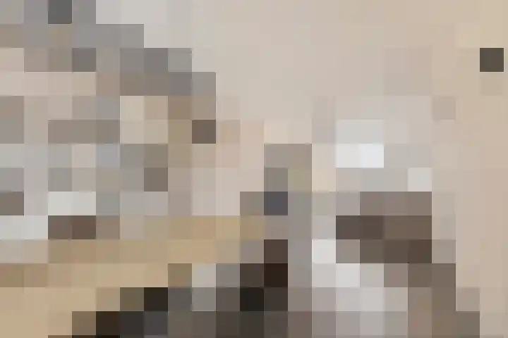 de Koppele 445 Eindhoven thumbnail 20