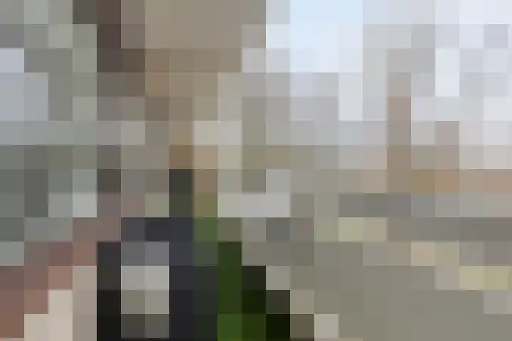 de Koppele 445 Eindhoven thumbnail 4