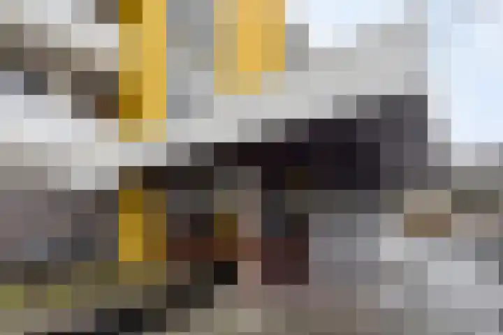 de Koppele 445 Eindhoven thumbnail 7
