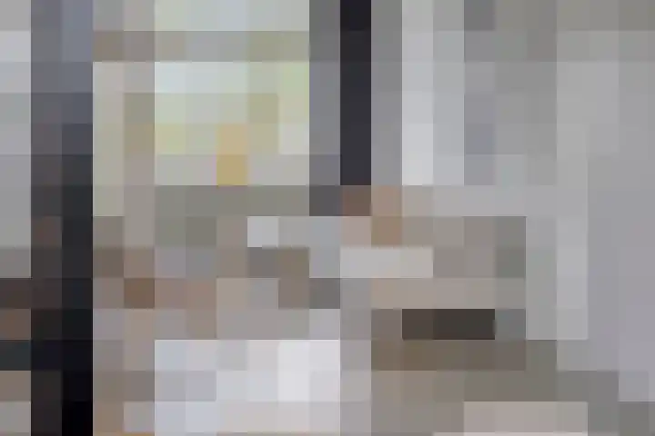 de Koppele 473 Eindhoven thumbnail 18