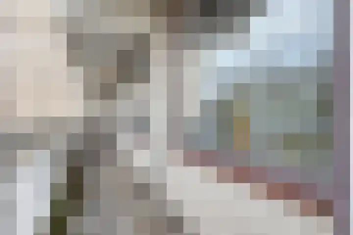 de Koppele 473 Eindhoven thumbnail 28