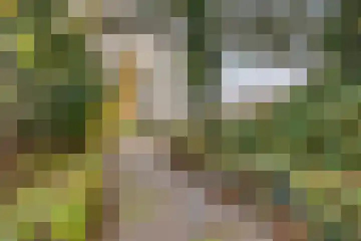 de Koppele 473 Eindhoven thumbnail 37
