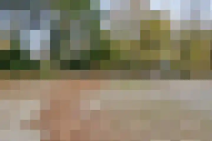 de Koppele 473 Eindhoven thumbnail 39