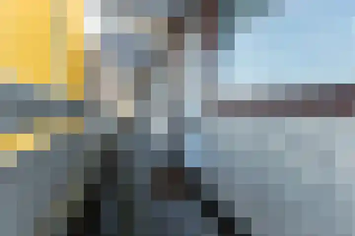 de Koppele 521 Eindhoven thumbnail 12