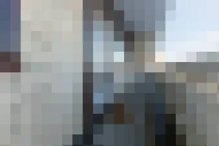 de Koppele 521 Eindhoven thumbnail 13