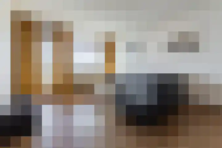 de Koppele 521 Eindhoven thumbnail 15