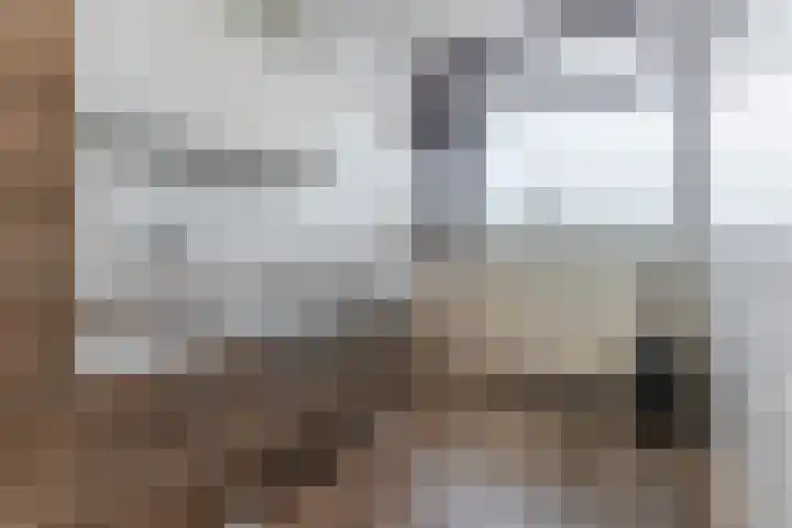 de Koppele 521 Eindhoven thumbnail 19