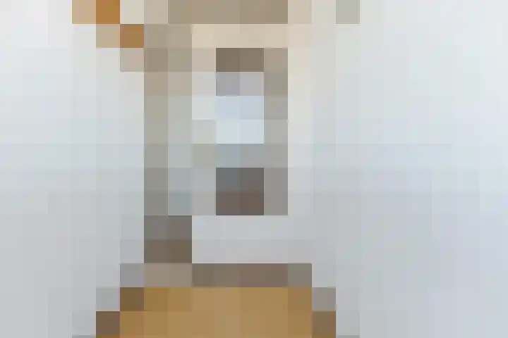 de Koppele 521 Eindhoven thumbnail 33