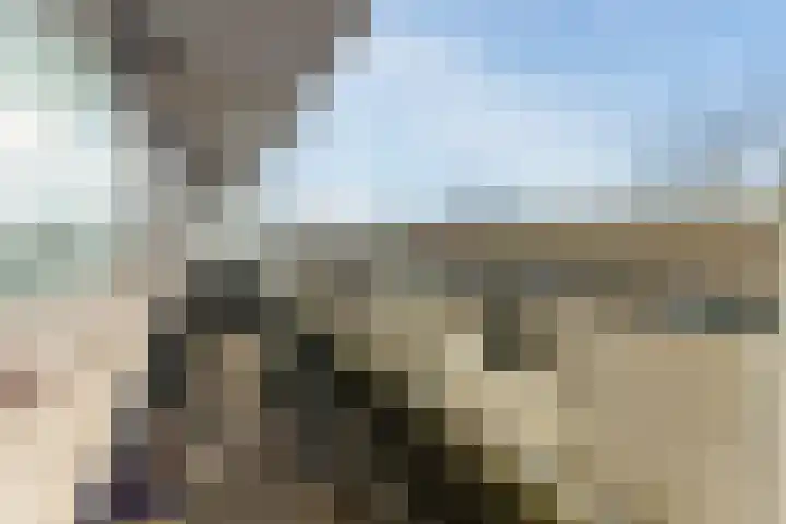 de Koppele 521 Eindhoven thumbnail 36