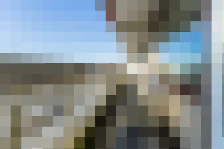 de Koppele 521 Eindhoven thumbnail 37