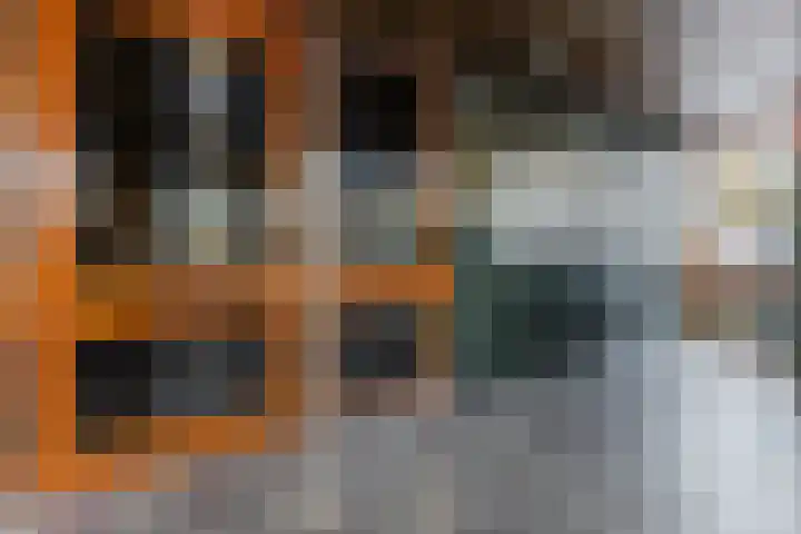 de Koppele 521 Eindhoven thumbnail 9