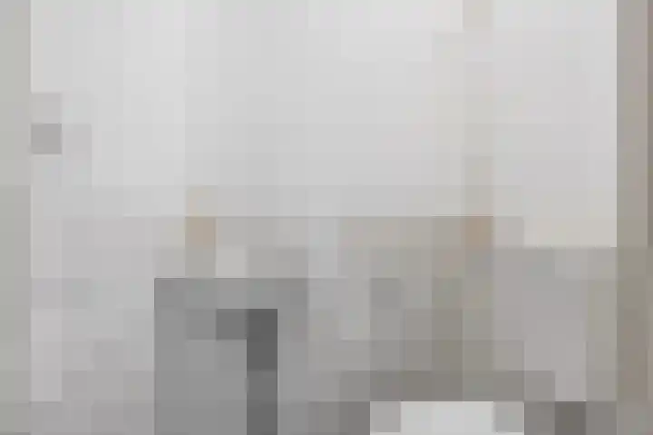 de Koppele 62 Eindhoven thumbnail 27