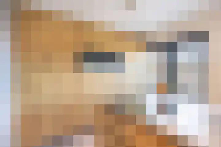 de Koppele 62 Eindhoven thumbnail 28