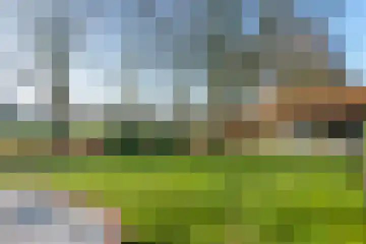 de Koppele 62 Eindhoven thumbnail 29