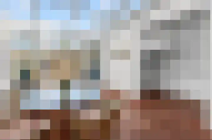 de Koppele 62 Eindhoven foto 3