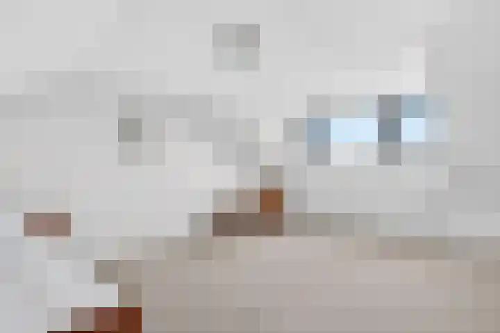 de Koppele 62 Eindhoven thumbnail 39