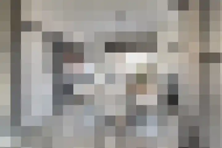 de Korf 23 Bemmel thumbnail 13