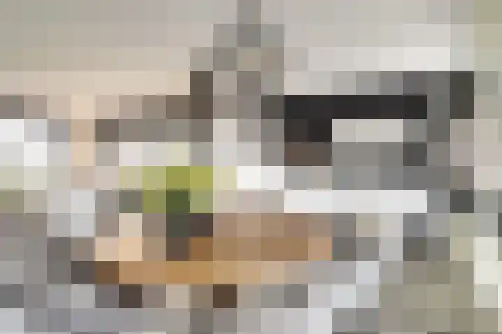 de Korf 23 Bemmel thumbnail 14