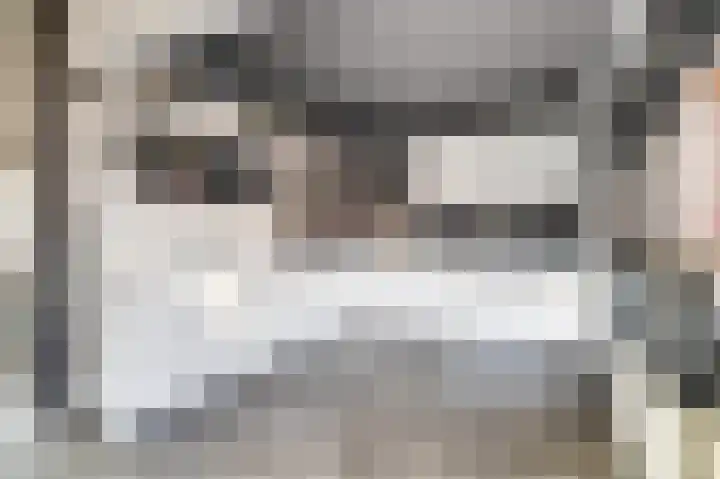 de Korf 23 Bemmel thumbnail 16