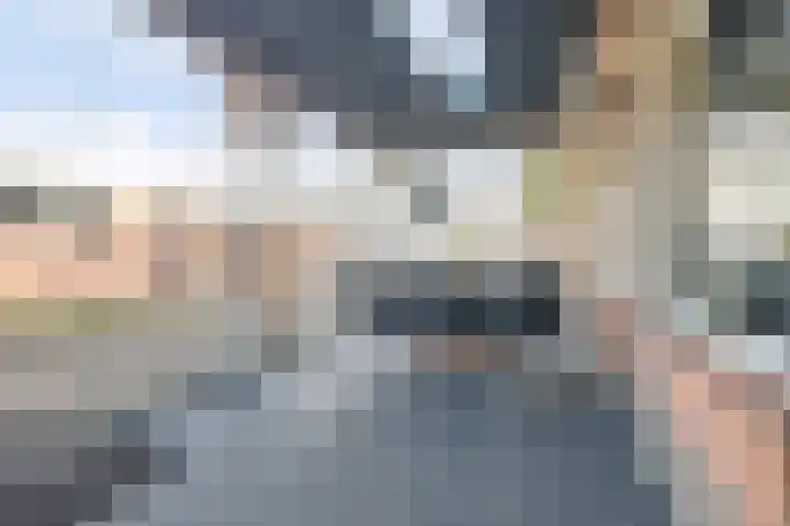 de Korf 23 Bemmel thumbnail 22