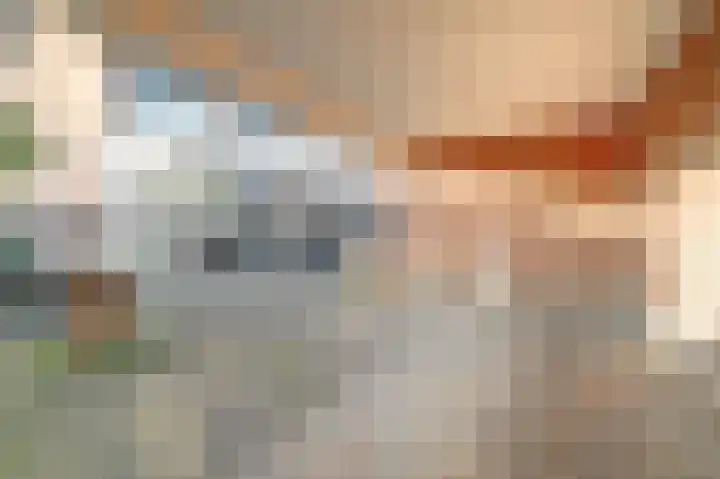 de Korf 23 Bemmel thumbnail 33