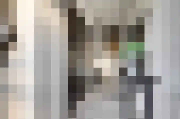 de Korf 23 Bemmel thumbnail 4