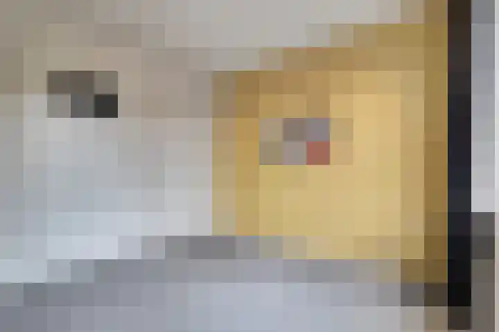 de Korf 23 Bemmel thumbnail 43