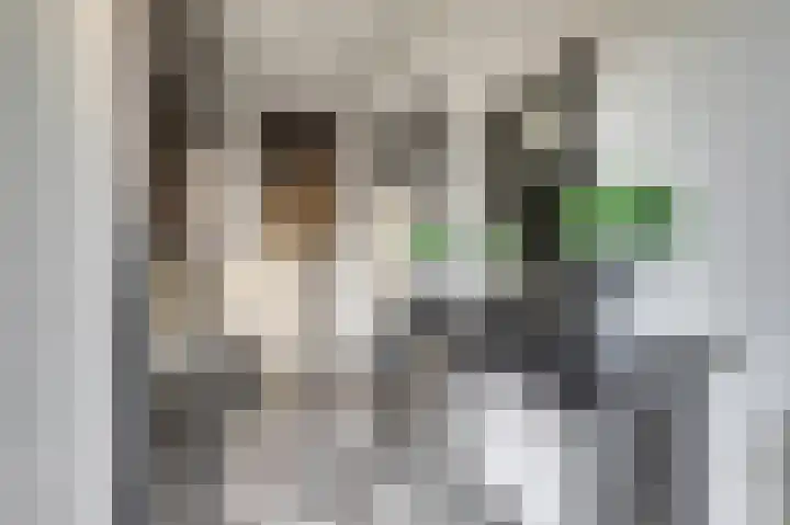 de Korf 23 Bemmel thumbnail 5