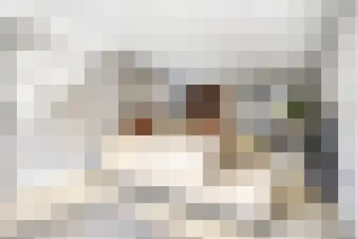 de Korf 23 Bemmel thumbnail 51