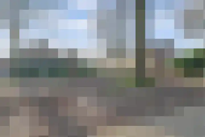 de Korf 23 Bemmel thumbnail 55