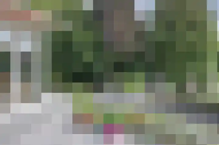 de Korf 23 Bemmel thumbnail 60