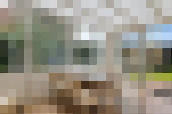 De Korrel 1 Erica thumbnail 16
