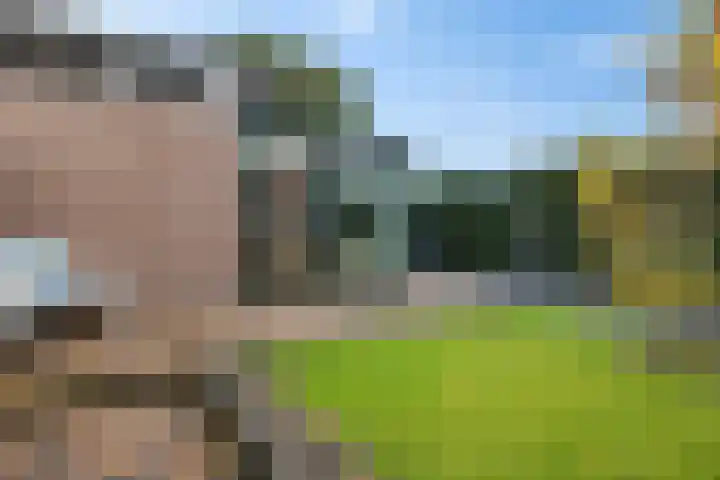De Korrel 1 Erica thumbnail 28