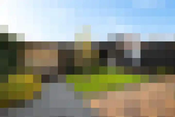 De Korrel 1 Erica thumbnail 30