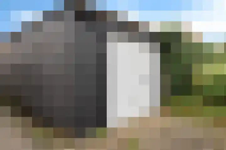 De Korrel 1 Erica thumbnail 33
