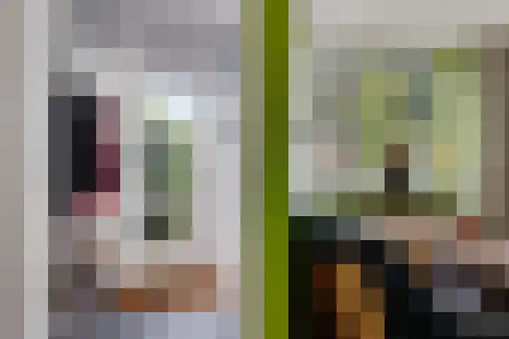 De Korrel 1 Erica thumbnail 6