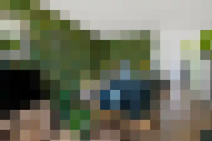De Korrel 1 Erica thumbnail 9