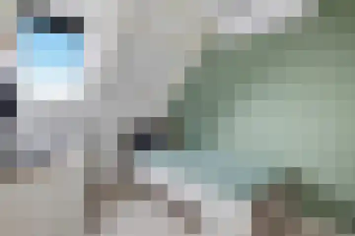 De Korrel 13 Erica thumbnail 21